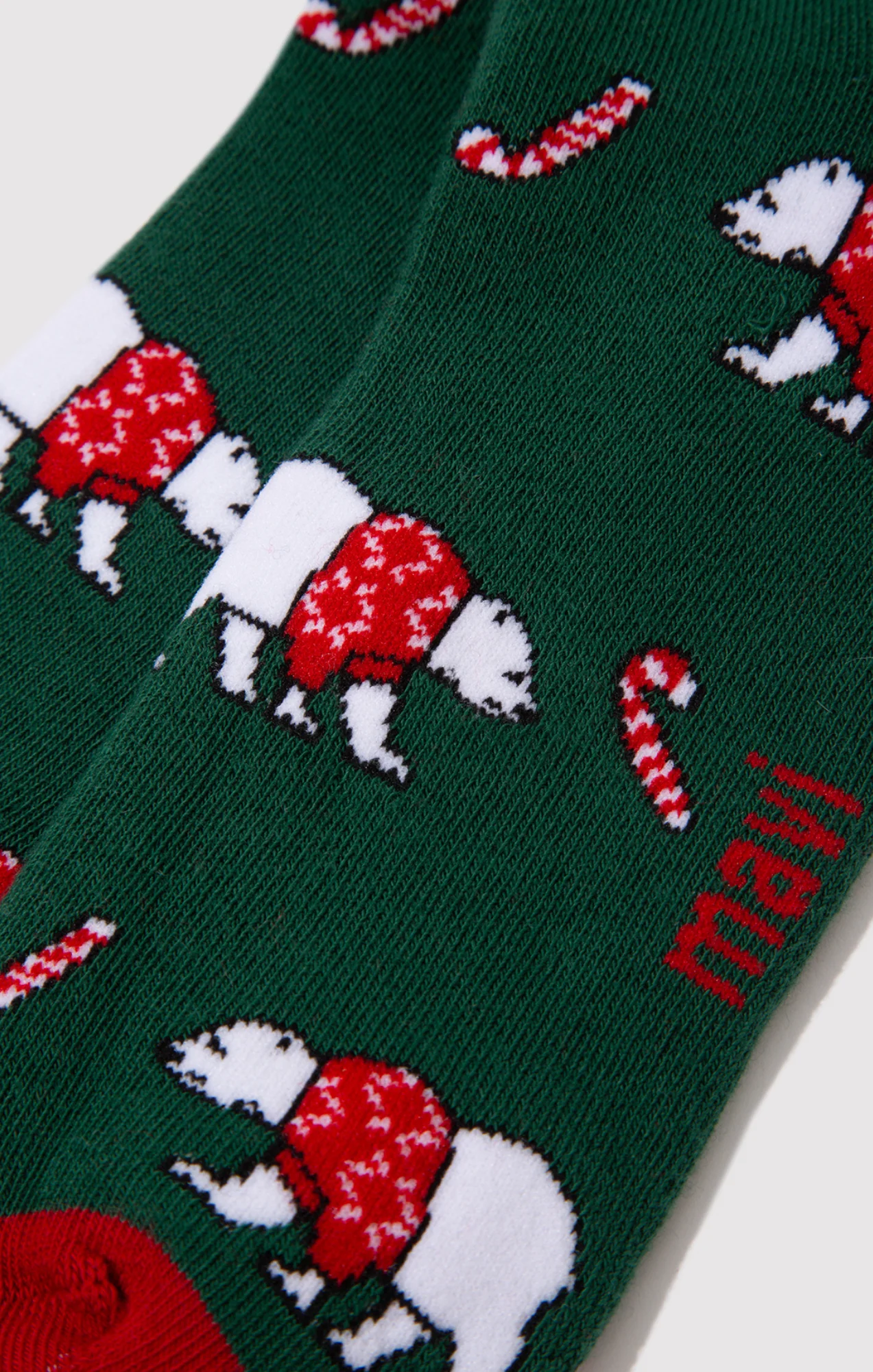 POLAR BEAR SOCKS IN ULTRAMARINE GREEN - Image 2
